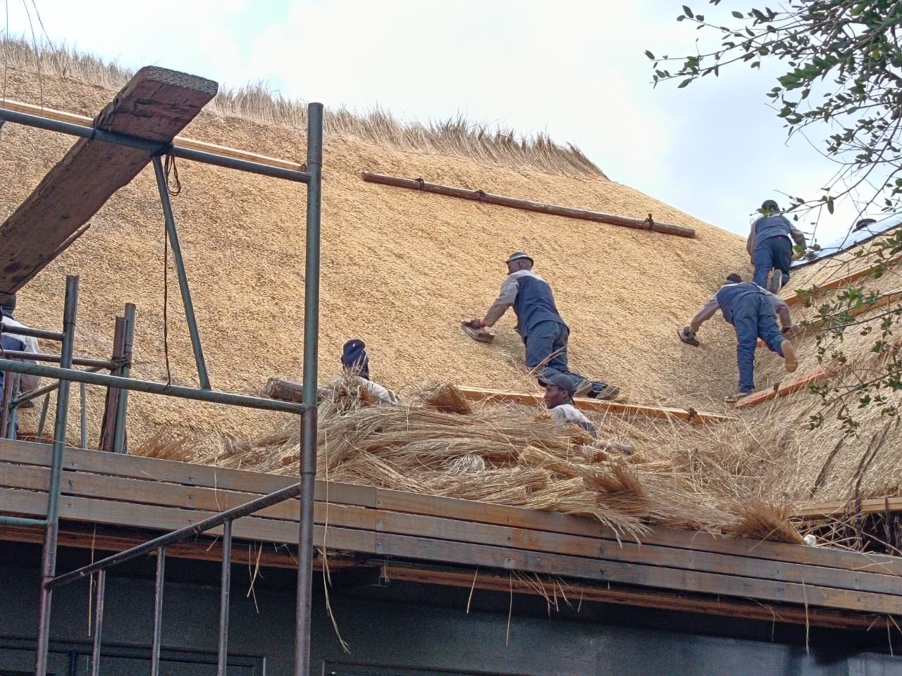 GR8 Thatch roofing project 37