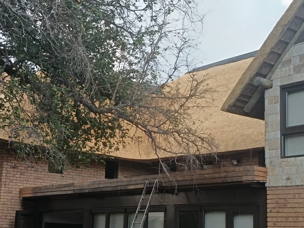 GR8 Thatch roofing project 38