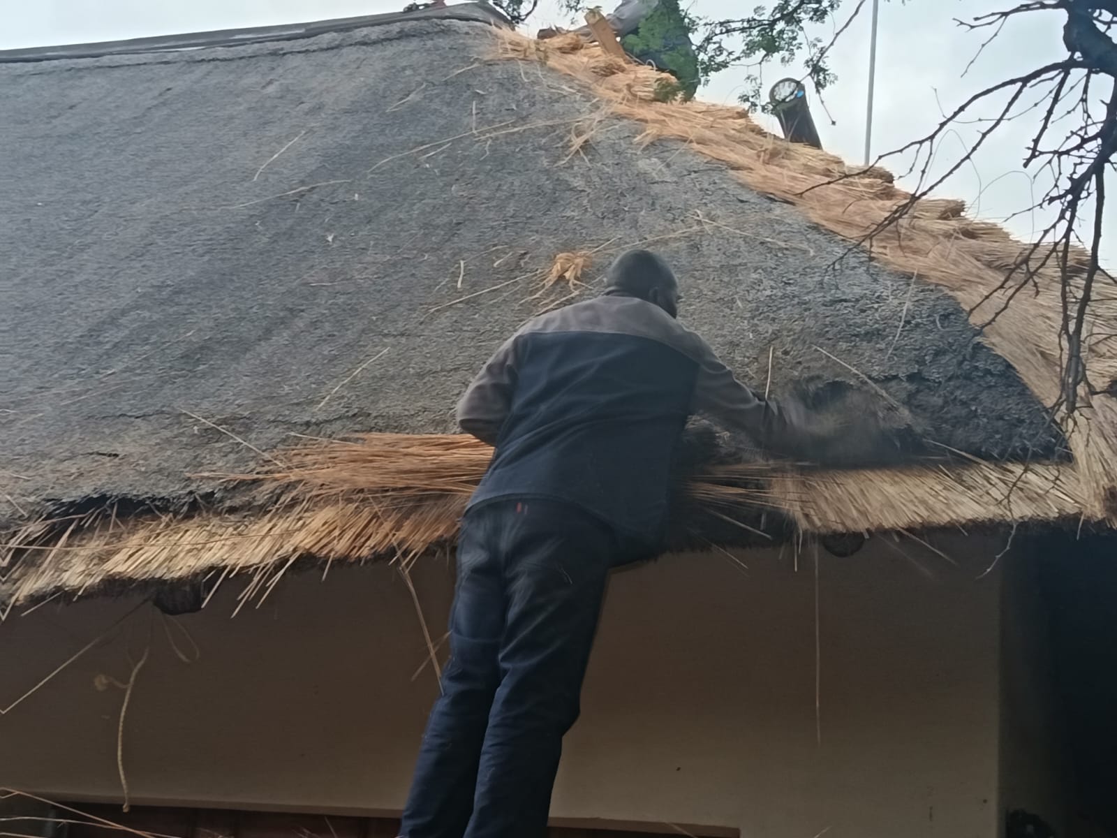 GR8 Thatch roofing project 40