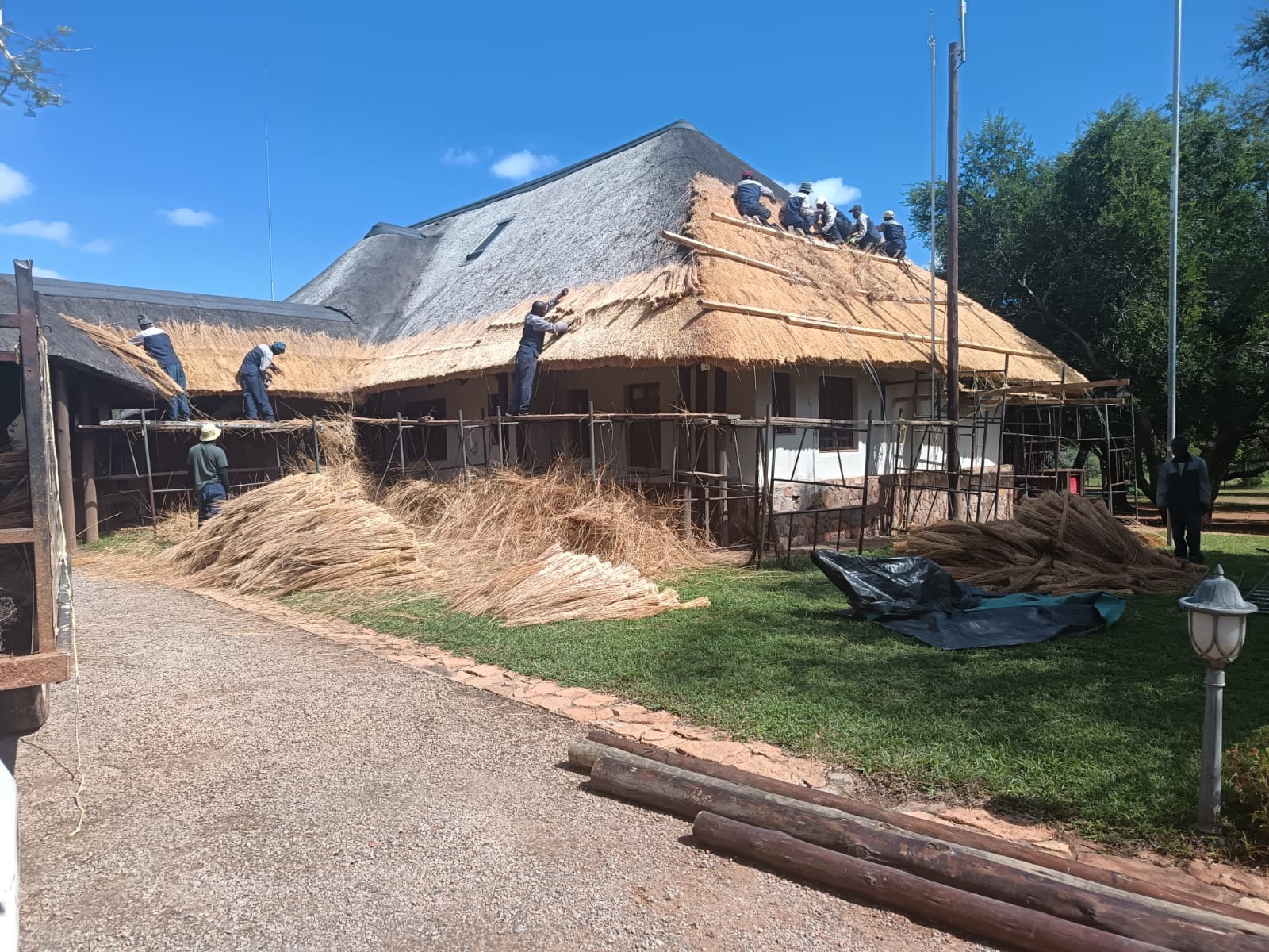 GR8 Thatch roofing project 1