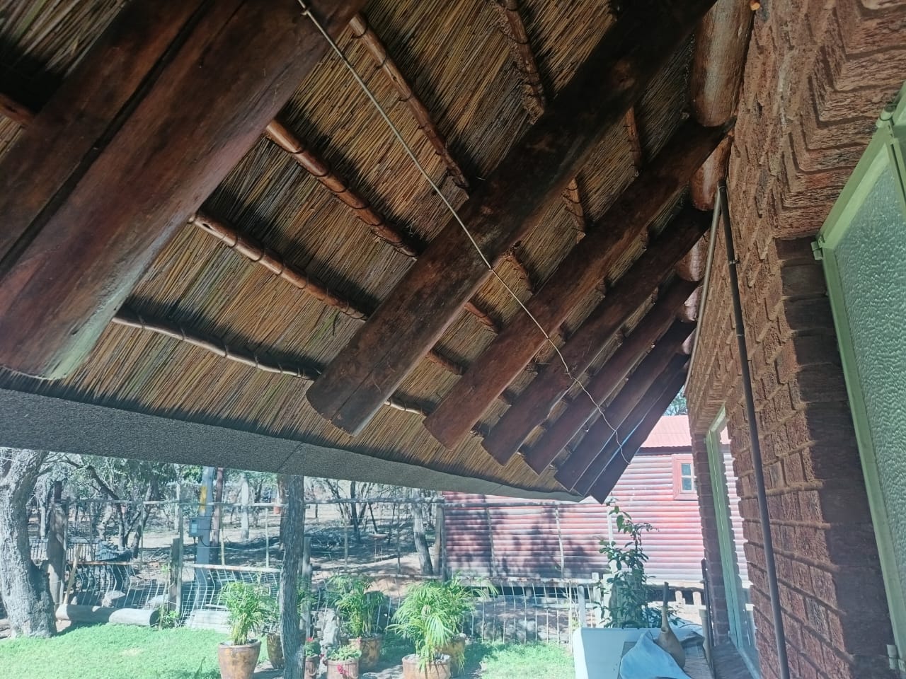 GR8 Thatch roofing project 16